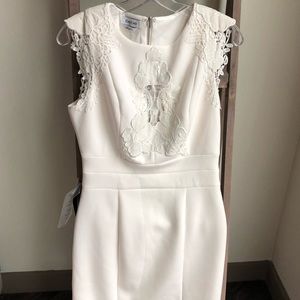 bebe dress NWT